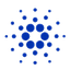 Partners Image